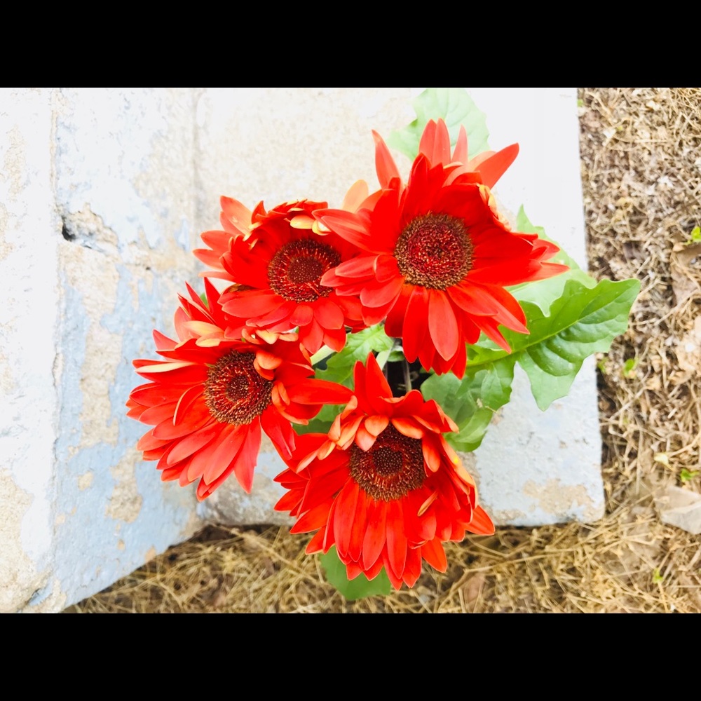 Meet your Posher, Keylan